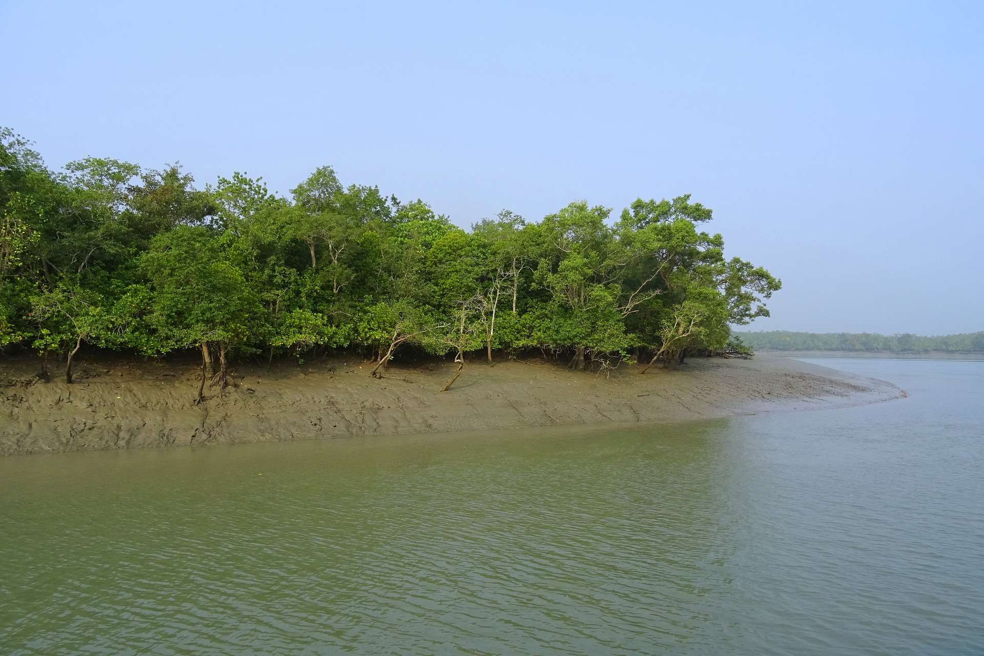 Sundarban Tour Package