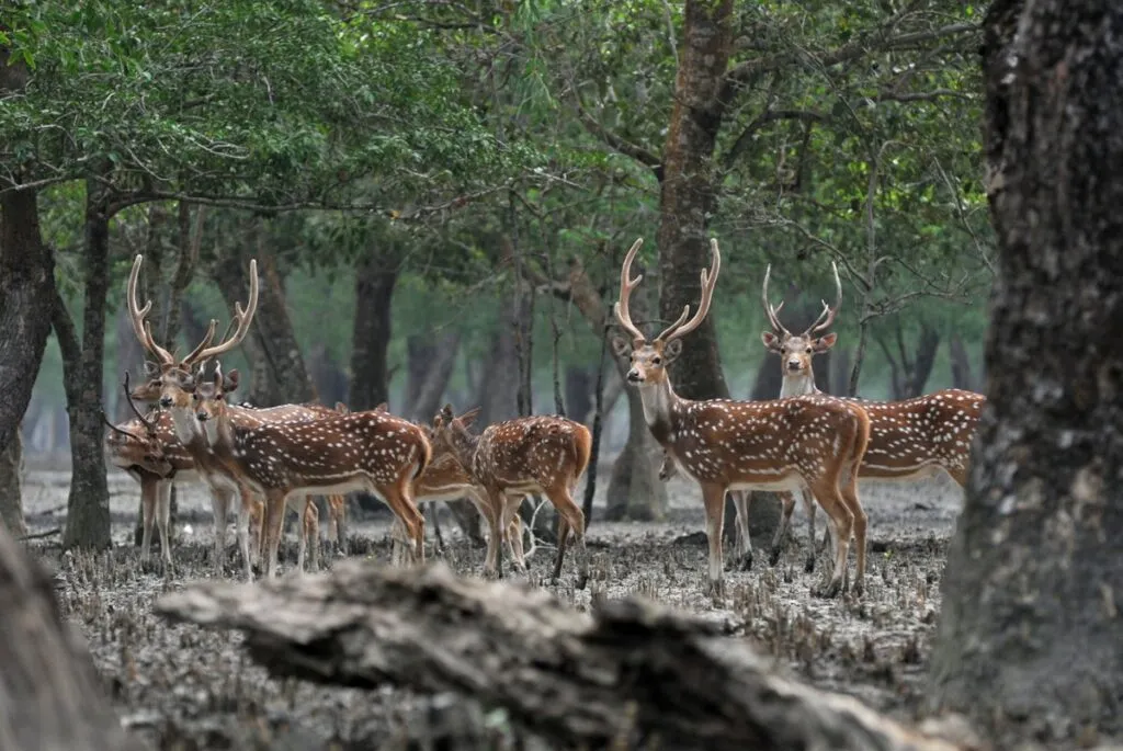 UNESCO World Heritage Sites in India