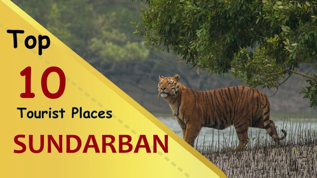 Best-Places-to-Visit-in-Sundarban