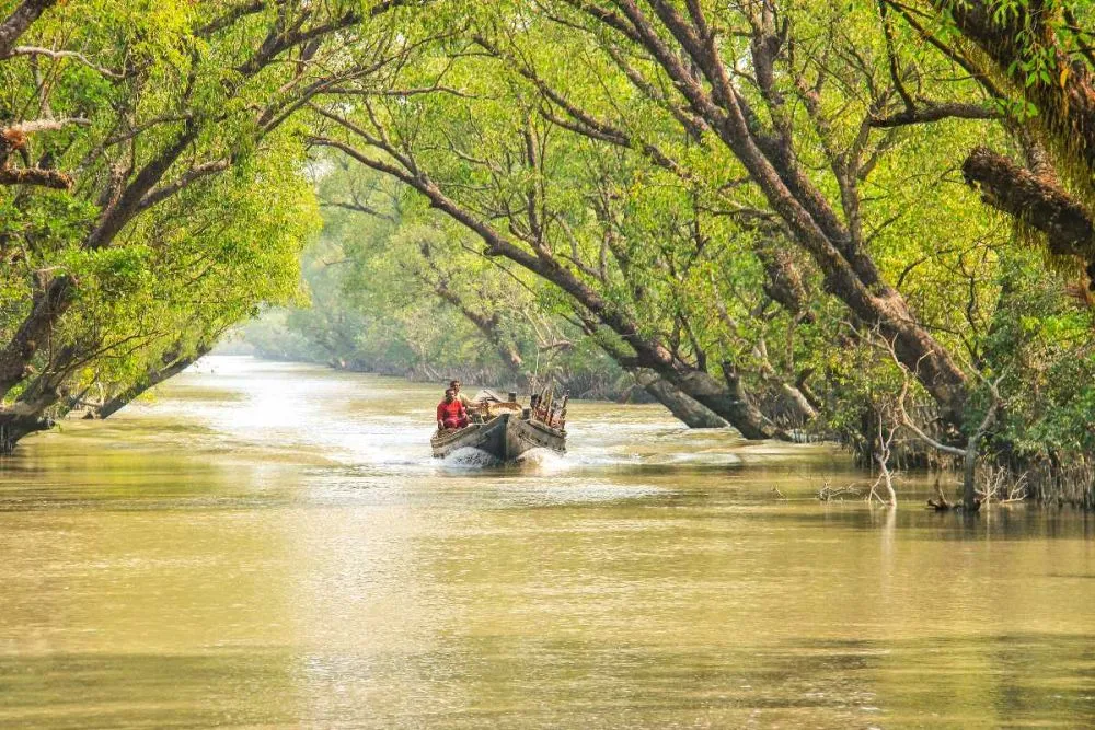 Sunderban National Park